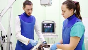 Nu kan du få styr på røntgensikkerheden på et kursus henvendt til veterinærbranchen. Foto: Dansk Strålebeskyttelse