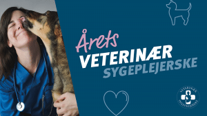 Indstil din kollega til Årets Veterinærsygeplejerske 2024.
