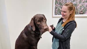 For en del hundeejere er det svært selv at klippe hundens negle, men hos Line er hunden tryg. Foto: Privat