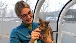 Her står Jóhanna Björg Steinsdóttir med katten Posi. Hun er elev som veterinærsygeplejerske i Island.