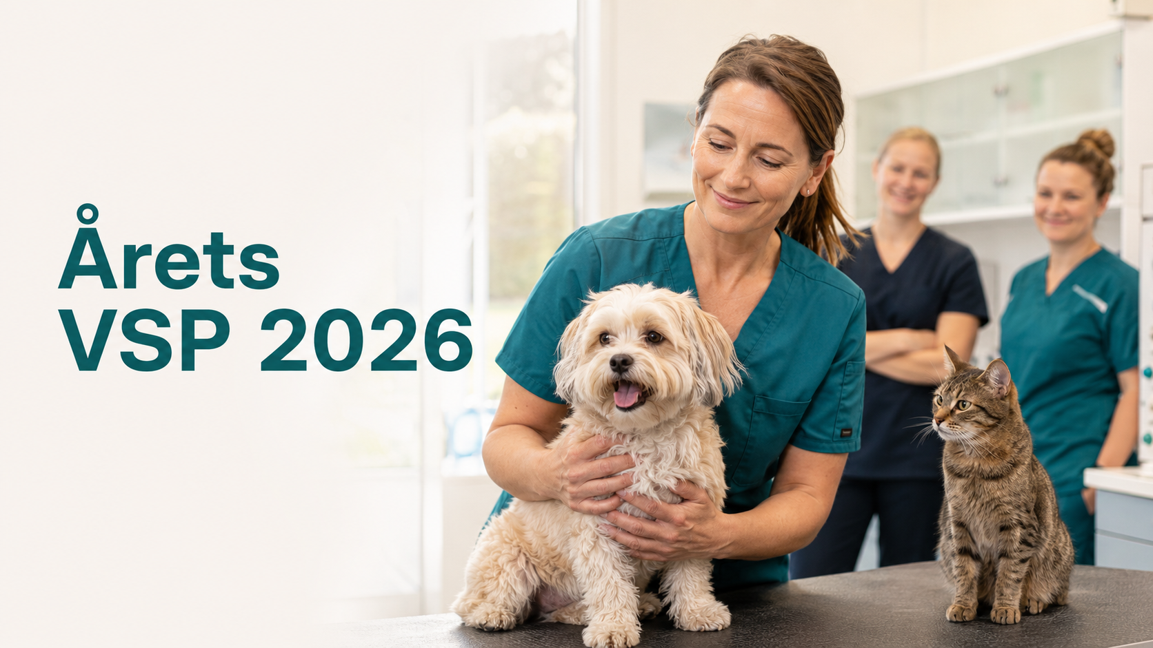Banner for Årets VSP 2026